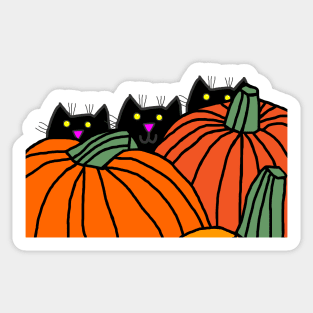 Funny Cats and Pumpkins at Halloween Sticker